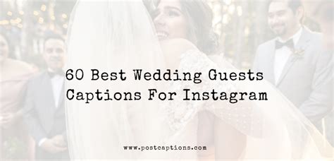 60 Best Wedding Guests Captions For Instagram