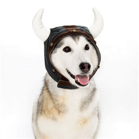 Viking Helmet Hat The New York Dog Shop