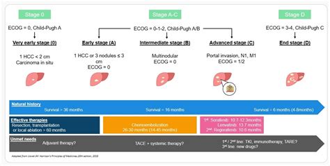 Liver Cancer Stages