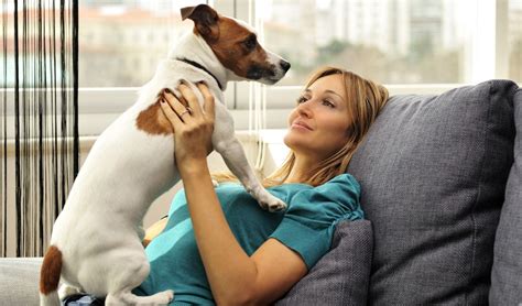 Check spelling or type a new query. 25 Best Dog Breeds for Small Apartments - Top Dog Tips
