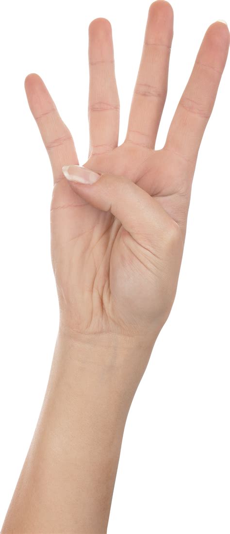 Four Finger Hand Hands Png Hand Image Free