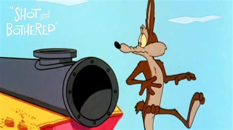 Shot And Bothered 1966 Looney Tunes Wile E Coyote And Road Runner