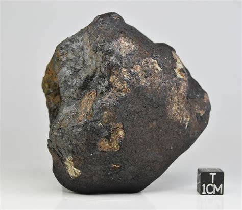 Meteorite Collection Gallery Collecting Meteorites