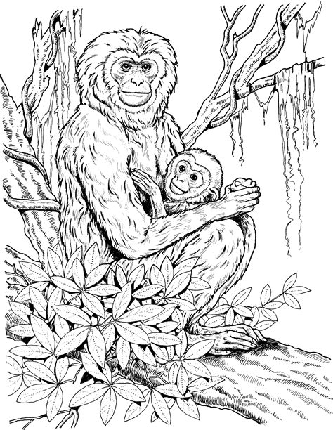 Primate Coloring Pages