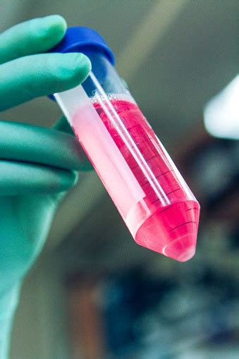 198 resultaten voor conical tube. Falcon 50ml Conical Centrifuge Tube For Scientific Cell ...
