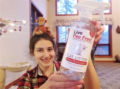 Live Pee Free! Review: We Tried a Cat Urine Odor Eliminator