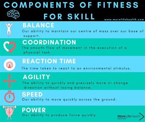 Components Of Fitness For Seniors Skill — More Life Health Seniors