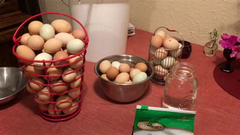 Egg Preservation With Waterglassing Youtube
