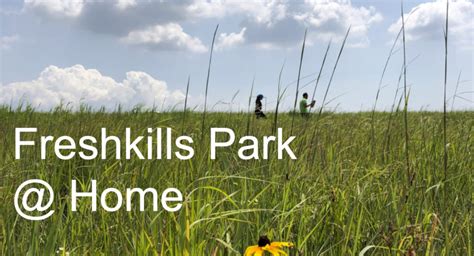 Homepage Freshkills Park Alliance