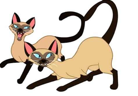 Understand that siamese cats differ from other cat breeds. Siamese Cats from Lady and the Tramp. We are siamese if ...