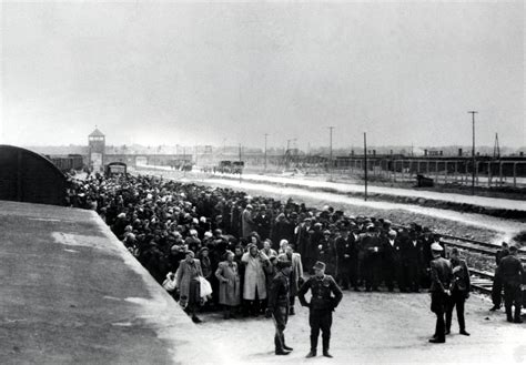 75 Years After Auschwitz Liberation Worry That ‘never Again Is Not