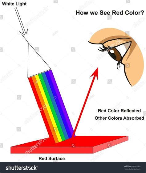 How We See Red Color Infographic Diagram Showing Visible Spectrum Light
