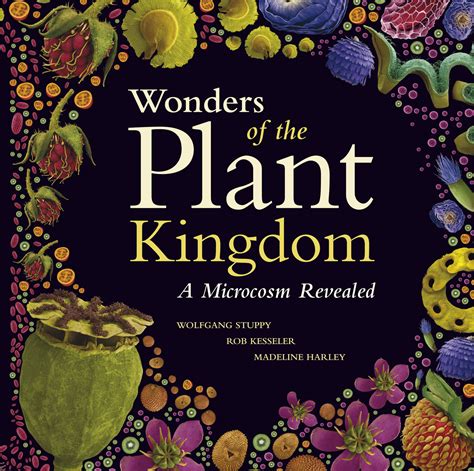 Wonders Of The Plant Kingdom A Microcosm Revealed Stuppy Kesseler