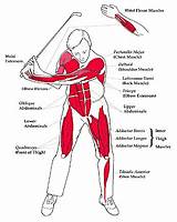 Core Muscles Used In Golf Swing Pictures