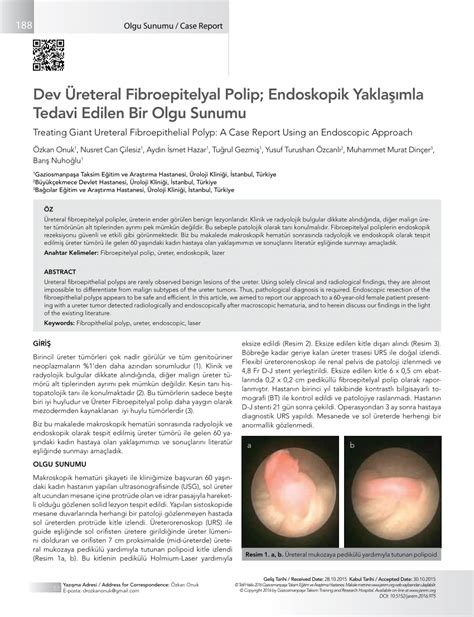 PDF Treating Giant Ureteral Fibroepithelial Polyp A Case Report