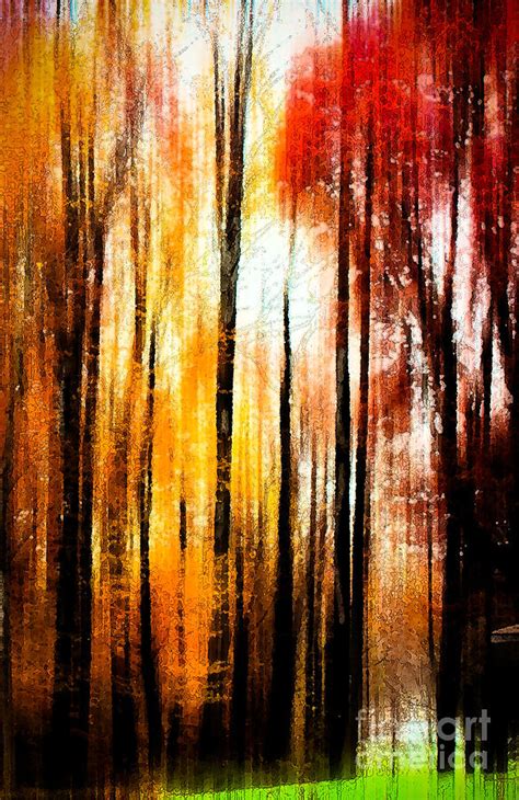 Fall Abstract Photograph By Tom Gari Gallery Three Photography Fine
