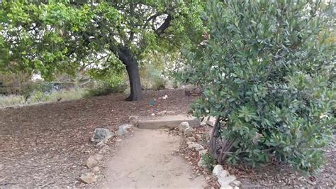 Conejo Valley Botanic Garden In Thousand Oaks In December 2018 Youtube