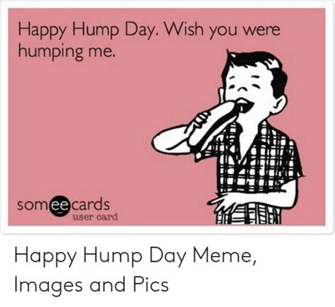 Happy Hump Day Wish You Were Humping Me Somee Cards ее User Card Happy