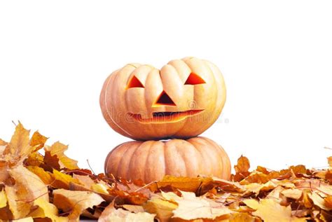 Halloween Pumpkin On Autumn Leaves Isolated On White Background Stock