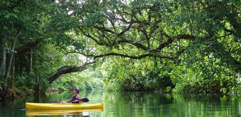 For a population of 0.3 million, vanuatu is home to 138 indigenous oceanic languages. Vanuatu Neukaledonien Urlaub Rundreise » Polynesia Select