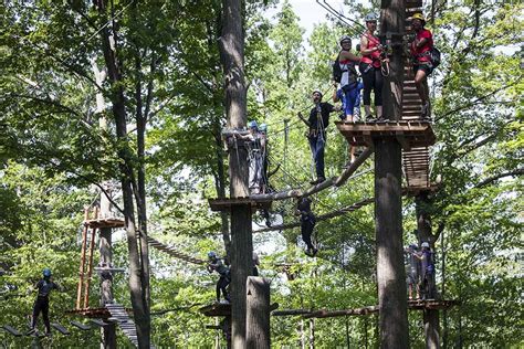 Treetop Trekking Adventure | Team Building Activities | Toronto ...