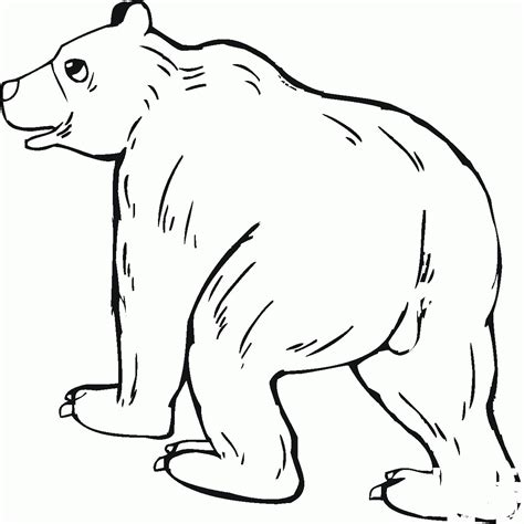Grizzly Bear Coloring Page Colouringpages