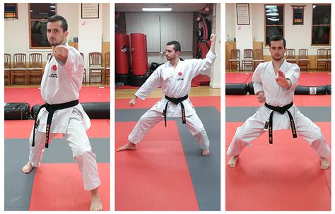 Shotokan Stances The Big 3 Review Shotokan Karate Diary