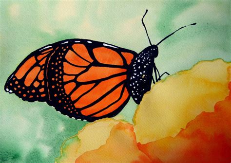 Monarch Butterfly 9x12 Inch Original Watercolor Painting
