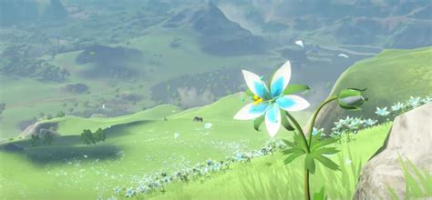 The silent princess is a flowers in the game the legend of zelda: The Silent Princess - Theorizing - Zelda Universe Forums