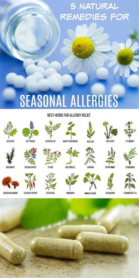 Learn 5 Natural Remedies To Beat Seasonal Allergies From Homeopathics