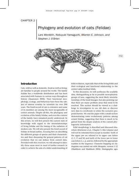 phylogeny and evolution of cats felidae