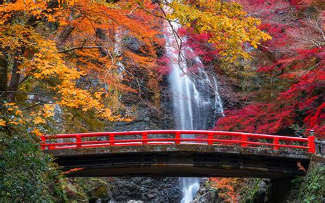 Bridge To Waterfall In Autumn Forest