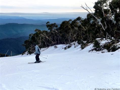 Skiing At Mt Buller Australia A Victoria Ski Resort