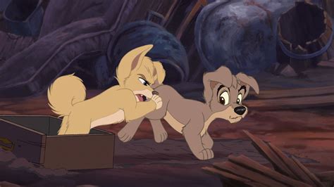 Angellady And The Tramp 2 Images Lady Tramp 2