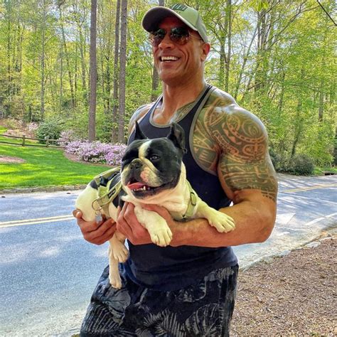 How Dwayne The Rock Johnson Became The Most Followed American Man On Instagram