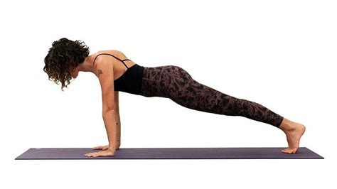 Plank Pose All About Phalakasana Plank Yoga Pose Seema