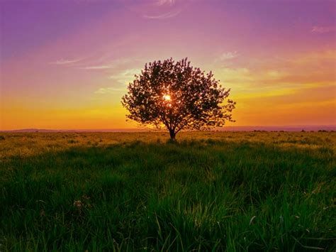 How To Create Colorful Sunset Landscape Tutorial In Photoshop Psdesire