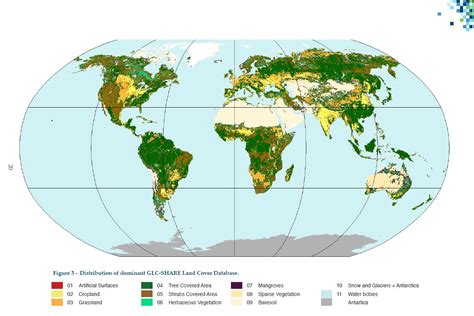 Fao News Article Fao Initiative Brings Global Land Cover Data Under