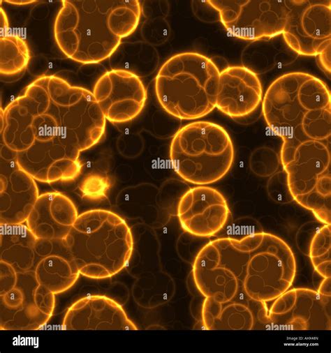 Bacteria Under Microscope Hi Res Stock Photography And Images Alamy