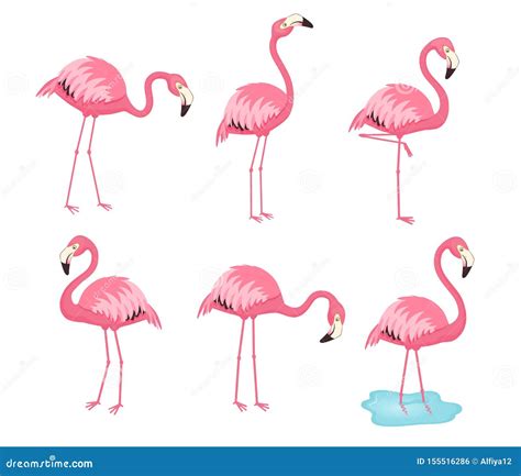 Vector Set With Six Flamingos Flamingos Stand Isolated On A White
