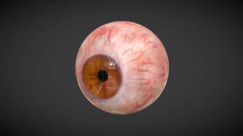 Human Eye Animated Photorealistic Textures Buy Royalty Free 3d