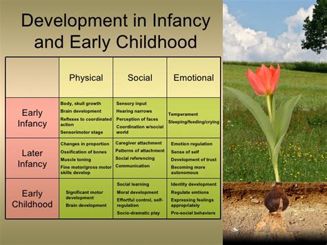 Infancy Early Childhood Phys Soc