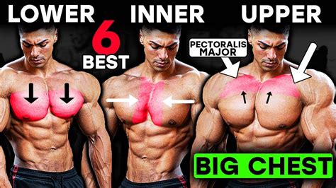 BEST Inner Lower And Upper Chest Exercises For BIG CHEST YouTube