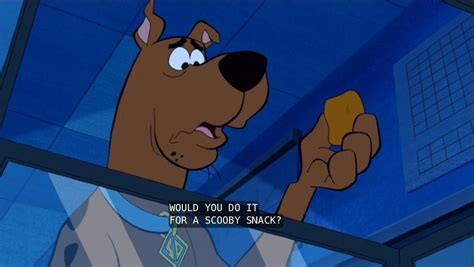 Would You Do It For A Scooby Snack R Scoobydoo