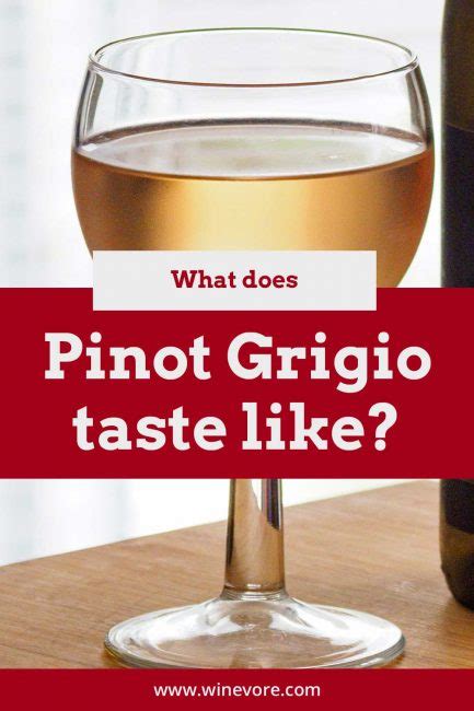 What Does Pinot Grigio Taste Like Winevore
