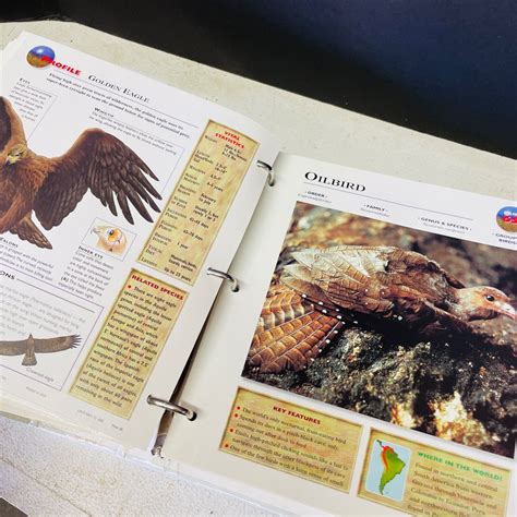 Wildlife Explorer Binder 100 Cards Birds Homeschool Animal Resource