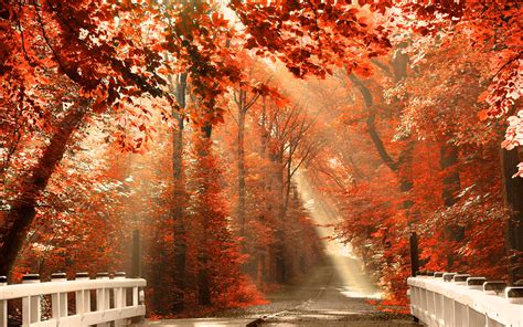 Fall Scenery Wallpaper Desktop Wallpapersafari