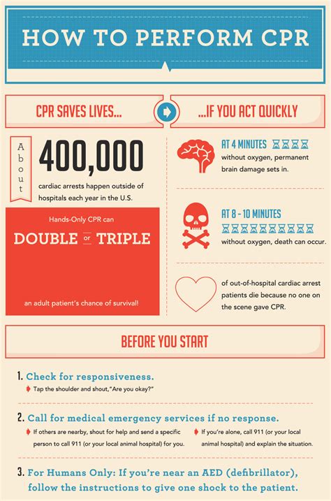 How To Perform Cpr Infographic Best Infographics