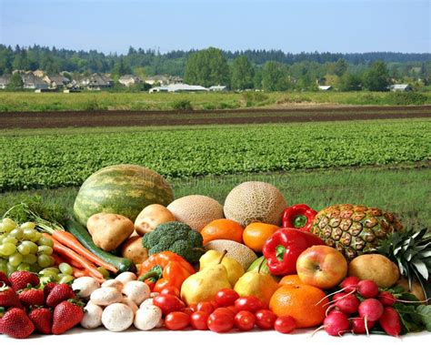 Farmers Crop Large Variety Of Fresh Fruit And Vegetables Water