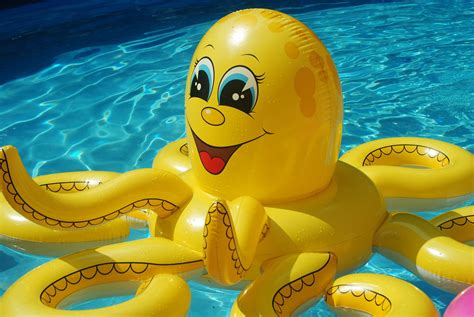 Swimming Pool Toys A Pool Owners Guide To Kids Pool Fun